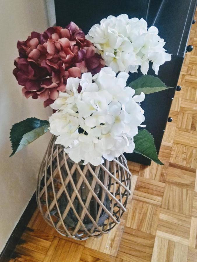 Apartamento Araceli Daire Oviedo Dış mekan fotoğraf